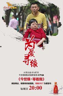 再续今世缘,一段跨越时空的浪漫传奇